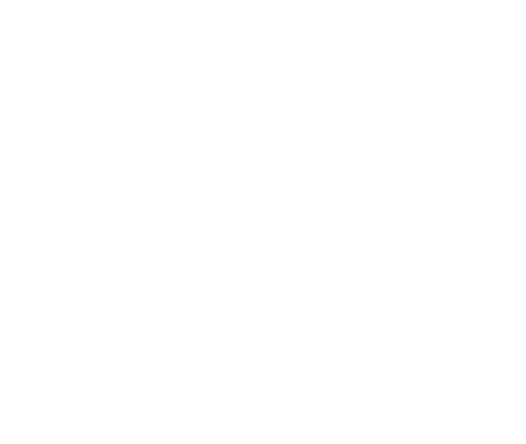 THE SPIRIT ECHO